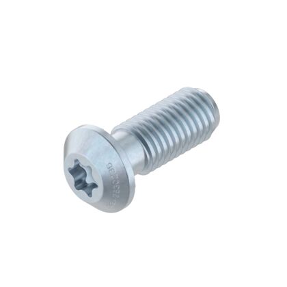 Screw s12x30-t50