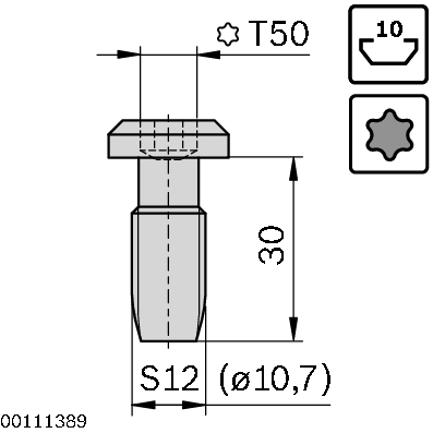 Screw s12x30-t50