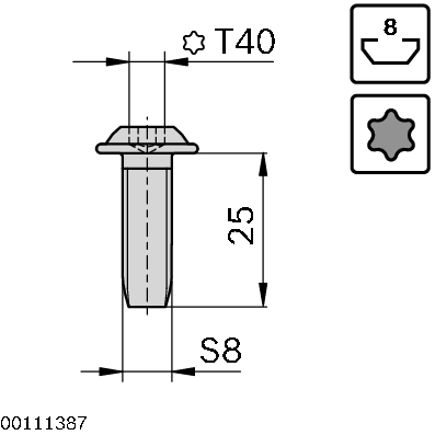 Screw S8x25-T40