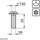Screw S8x25-T40