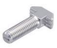 T-Bolt, N10, M8x30